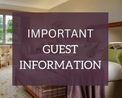 We are experiencing difficulties, please check Facebook for live updates