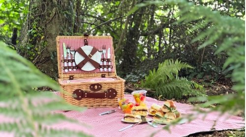  Woodland Picnic Escape