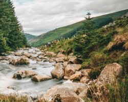 Summer Offers at Druids Glen