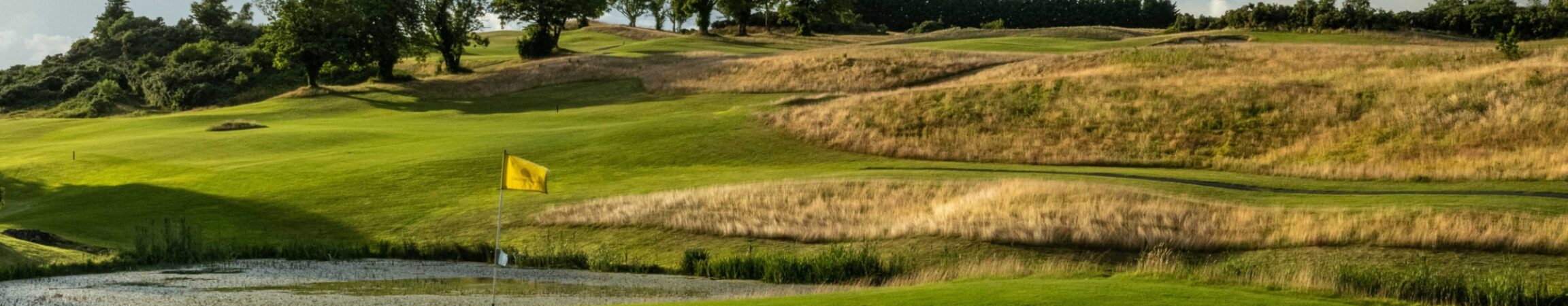 Druids Heath 2023 July10 13 green to tee 4 6103 1