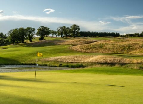 Druids Heath Green to Tee