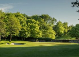 Tee Time at Druids