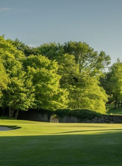 Tee Time at Druids