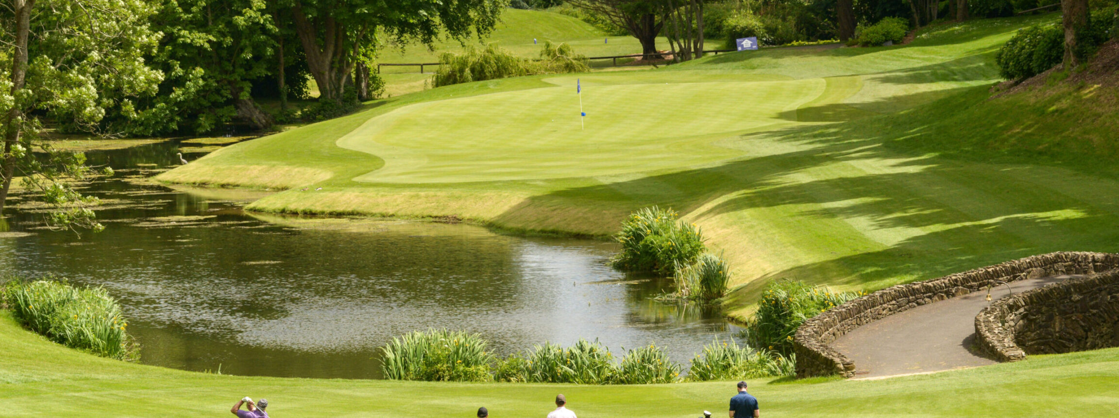 Golf Enquiry