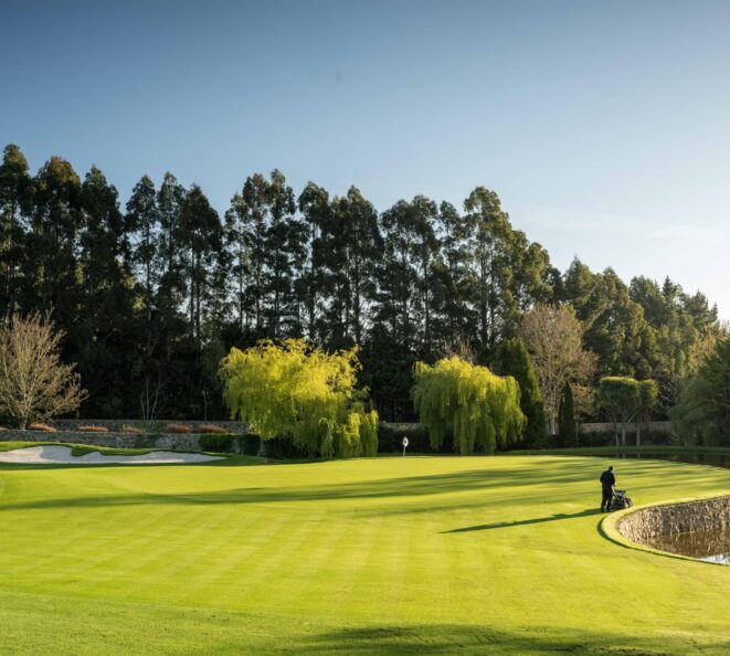 Druids Glen Membership