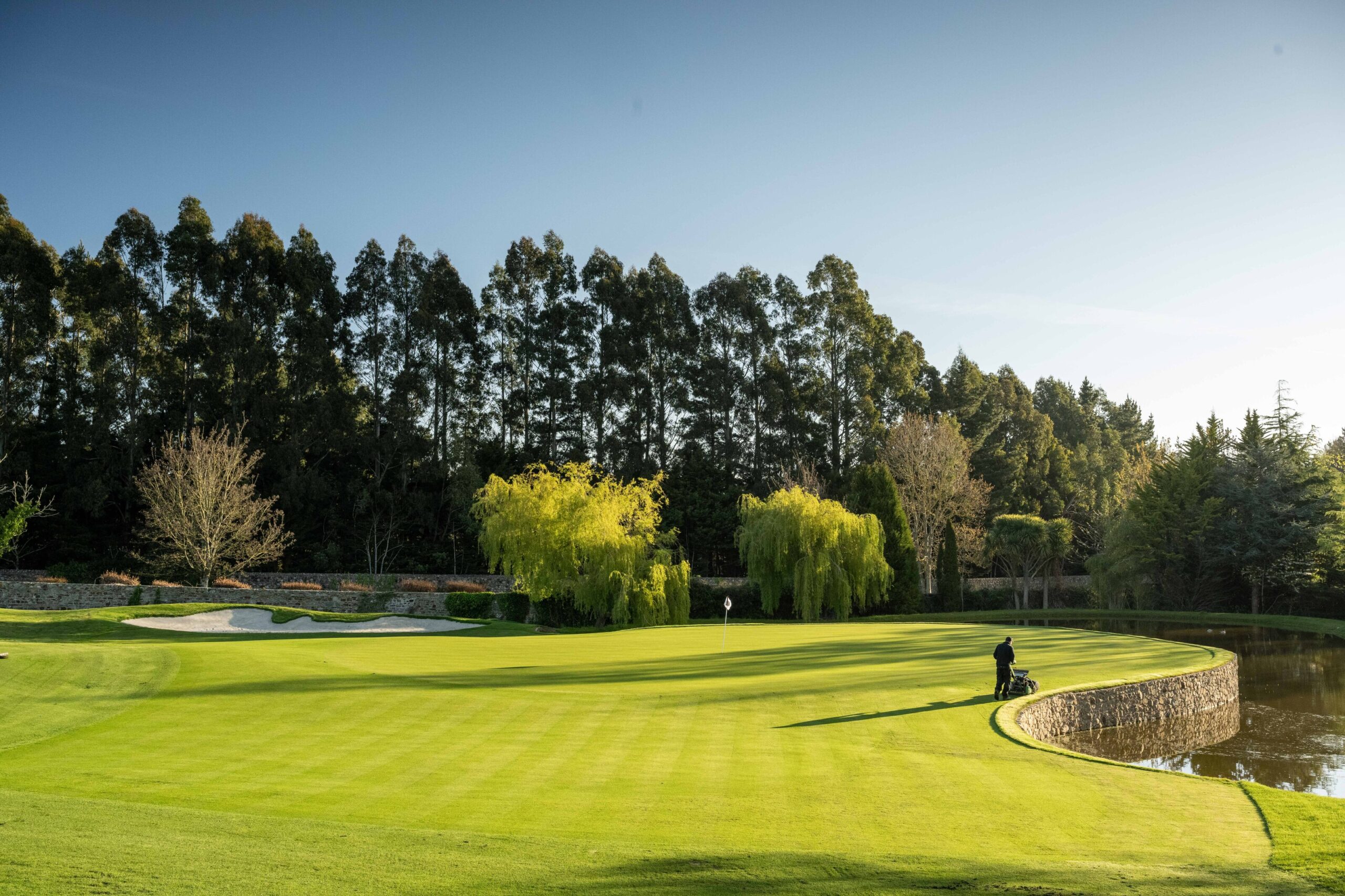 Druids Heath Membership