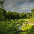 Druids Glen 2023 July1 13 tee snake 5123