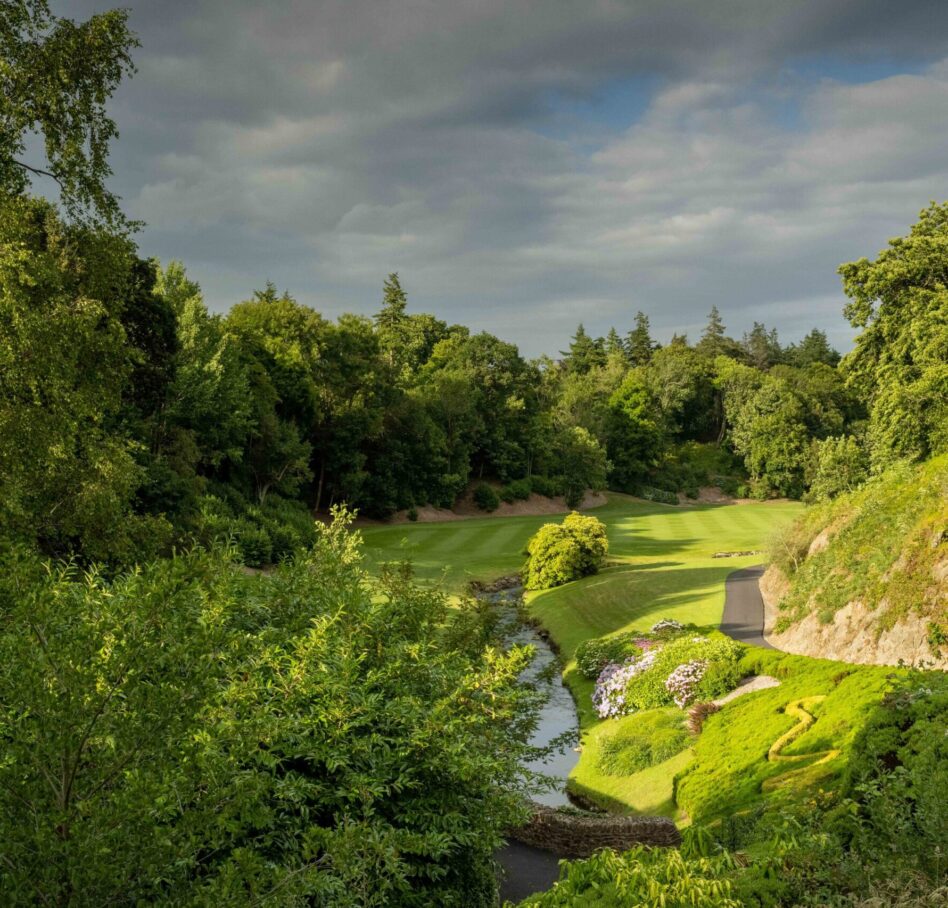 Druids Glen 2023 July1 13 tee snake 5123