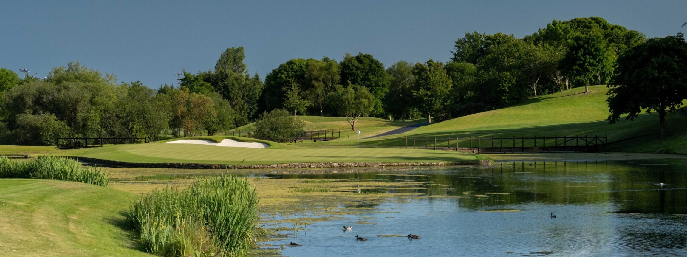 Corporate Golf Day Package