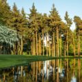 Druids Glen 2023 May 15 green LHS trees 2498