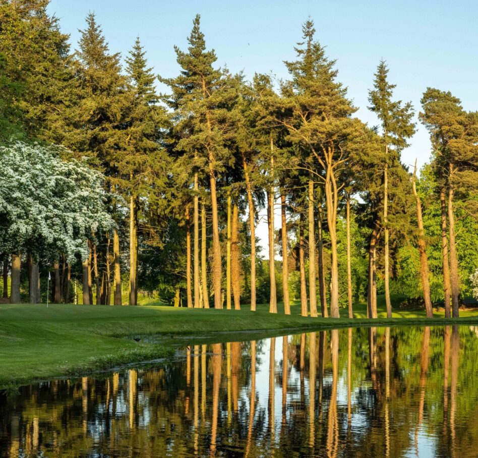 Druids Glen 2023 May 15 green LHS trees 2498