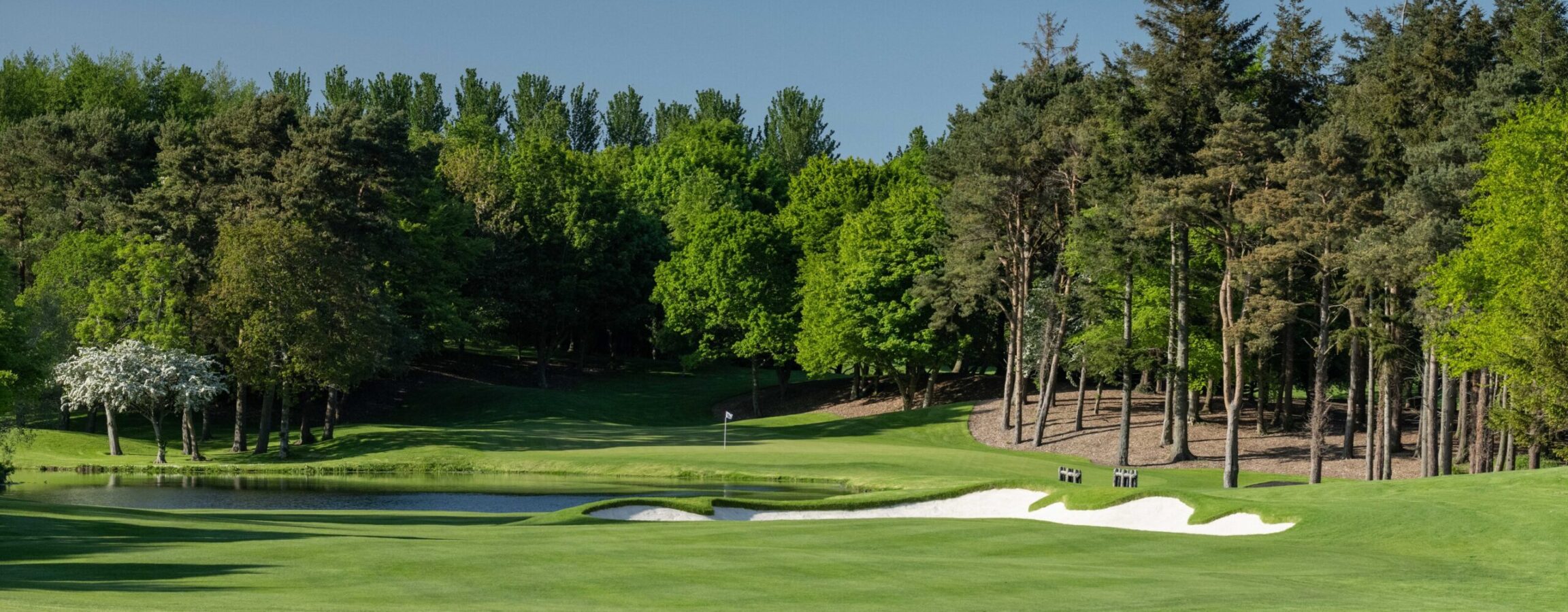 Druids Glen 2023 May 15 tee zoom 1 1327