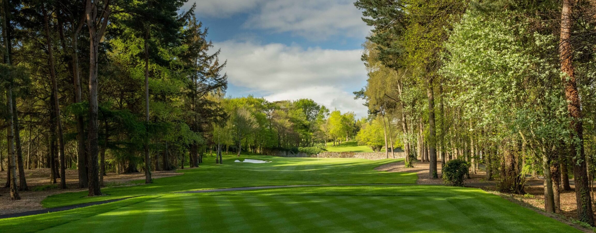 Druids Glen 2023 May 2 tee 1999