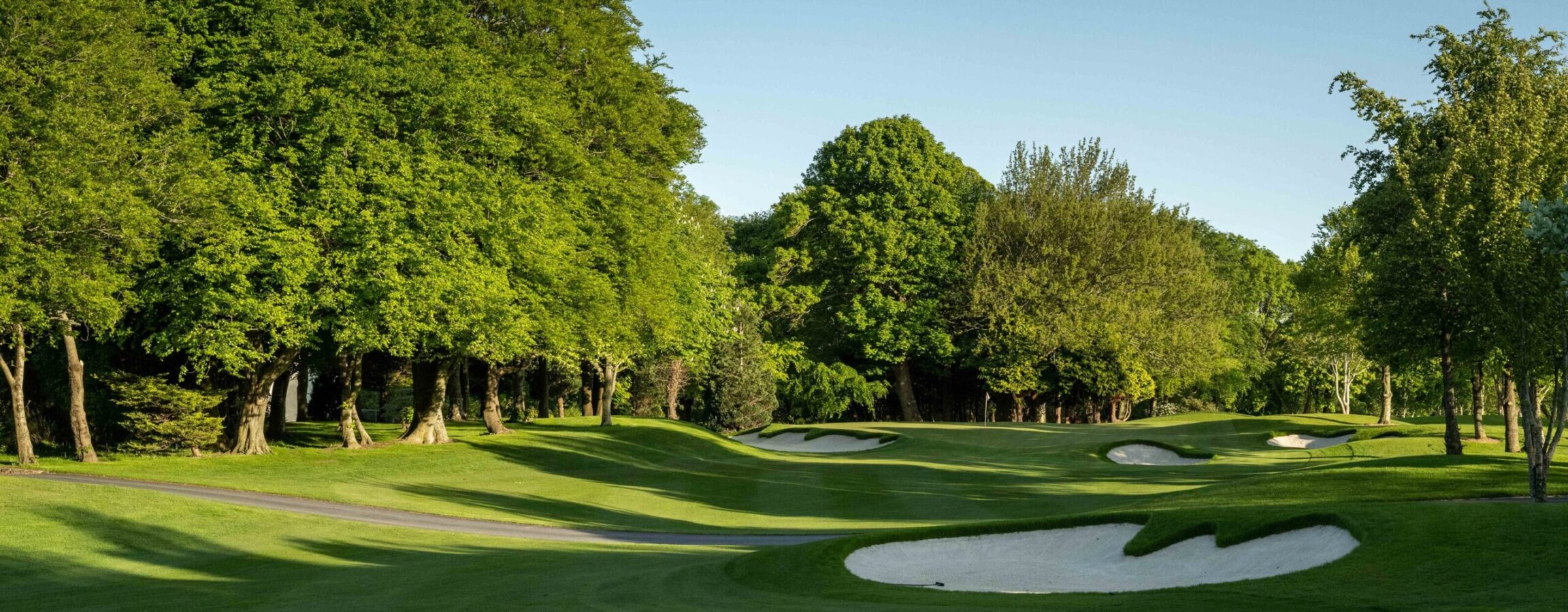 Druids Glen 2023 May 3 approach 1 2436