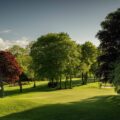 Druids Glen 2023 May 6 green from roof 2197