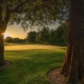 Druids Glen 2023 May27 11 green to fairway trees 2 3085 1