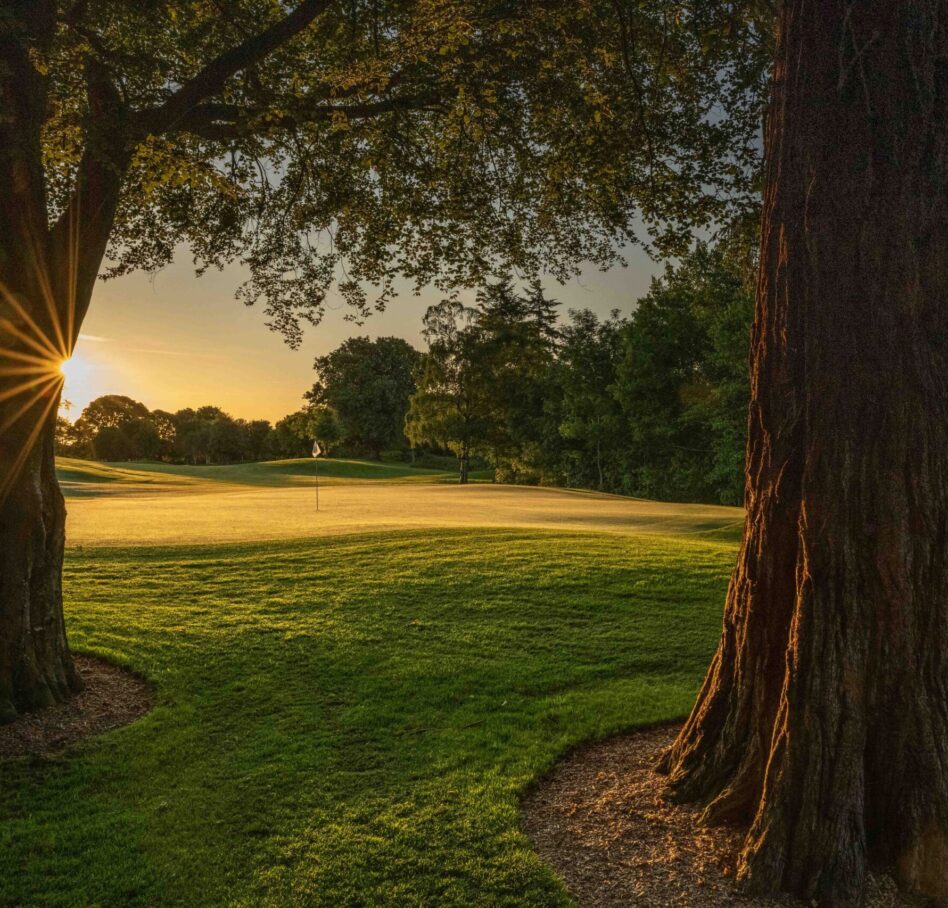 Druids Glen 2023 May27 11 green to fairway trees 2 3085 1