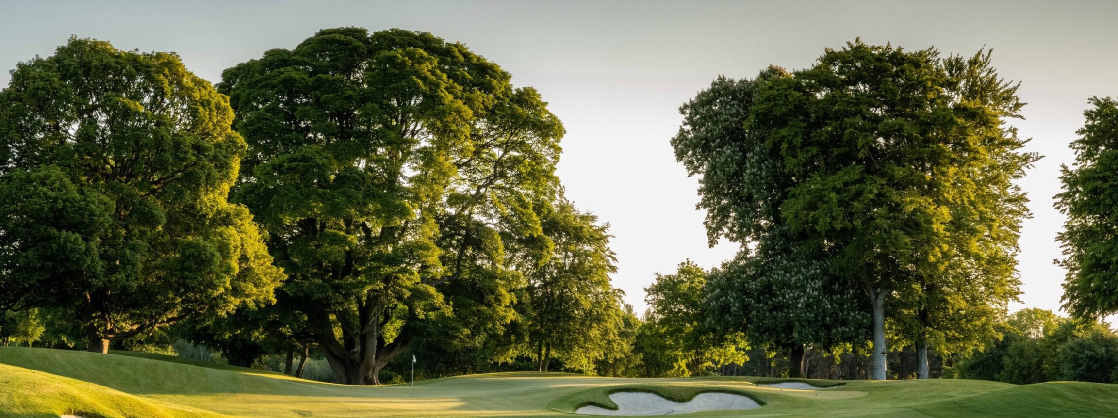 Golf Membership