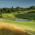 Druids Heath 2023 July10 13 approach LHS grasses 3 5942