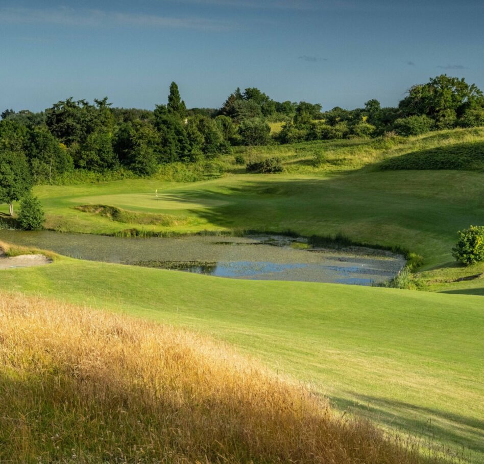 Druids Heath 2023 July10 13 approach LHS grasses 3 5942