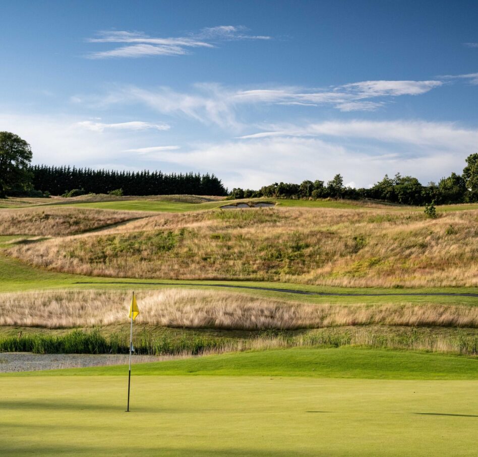 Druids Heath 2023 July10 13 green RHS 6 6067 2