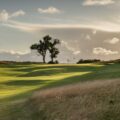 Druids Heath 2023 July10 17 approach RHS silhouette 1 3784