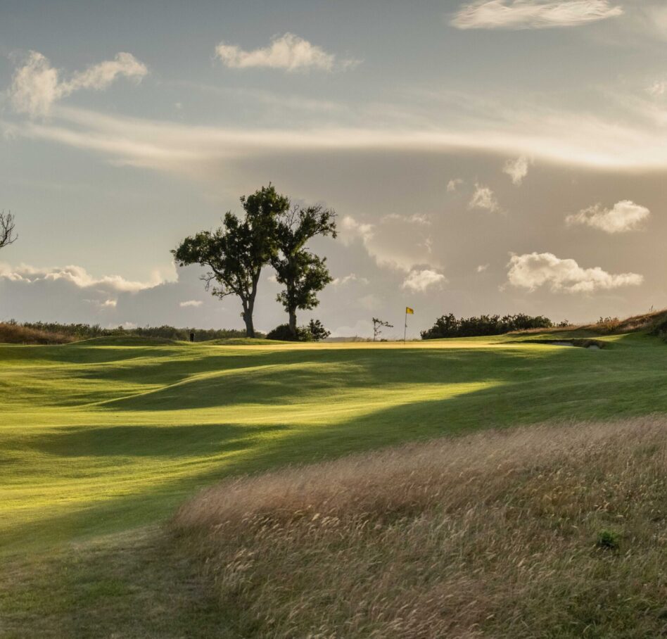 Druids Heath 2023 July10 17 approach RHS silhouette 1 3784