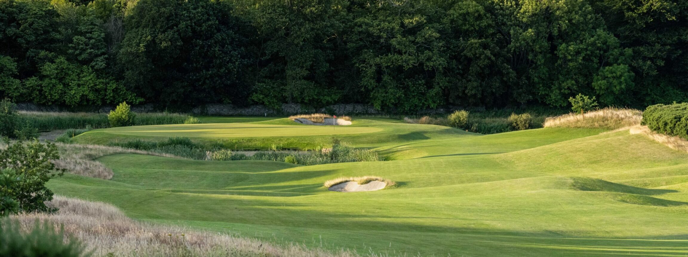 Book a Tee Time