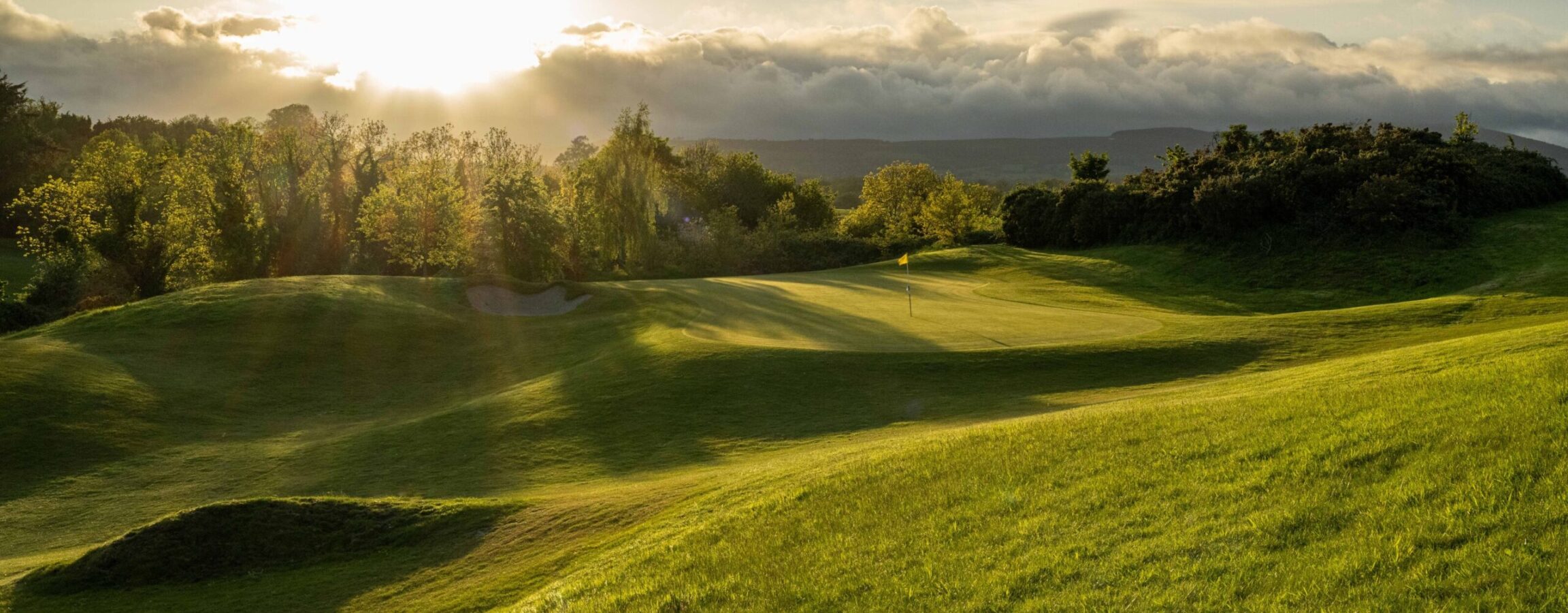 Druids Heath 2023 May 11 green RHS 1 2301