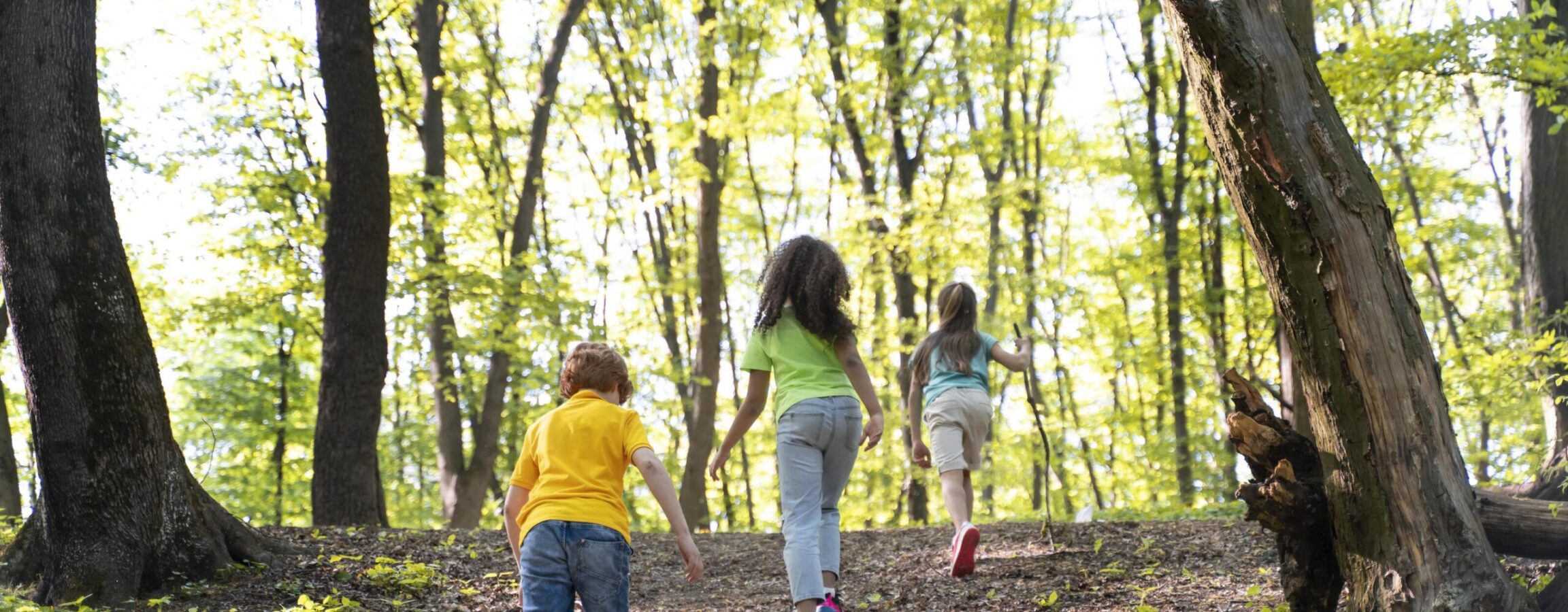 Little Explorers on Walking Trail 1