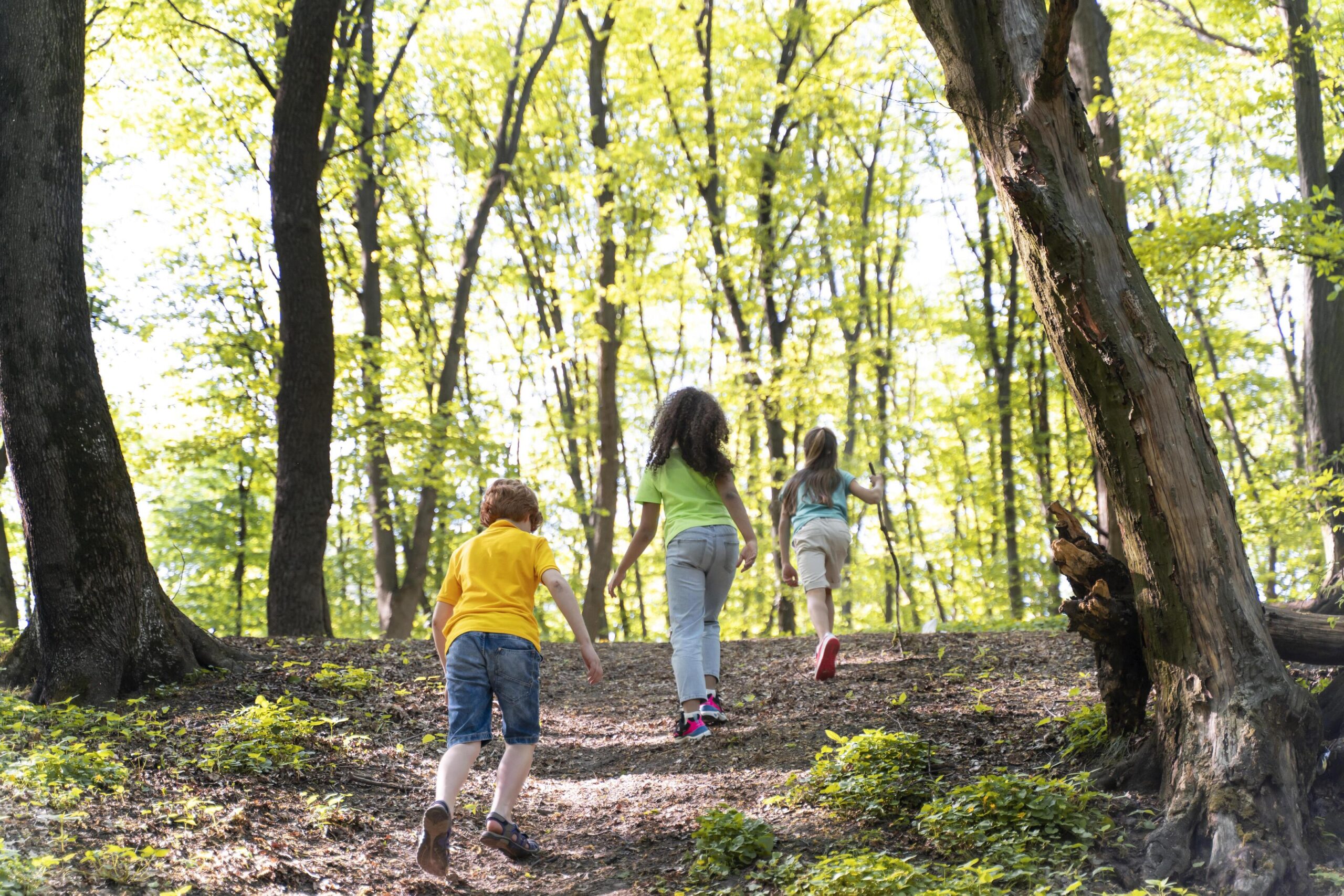Walking Trail & Fairy Forest