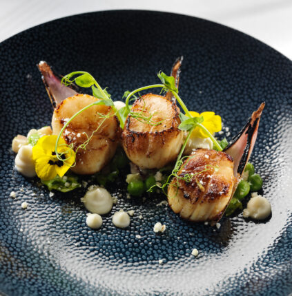 Starter Seared Kilmore Quay Scallops Cauliflower Parmesan Puree Peas A La Francais