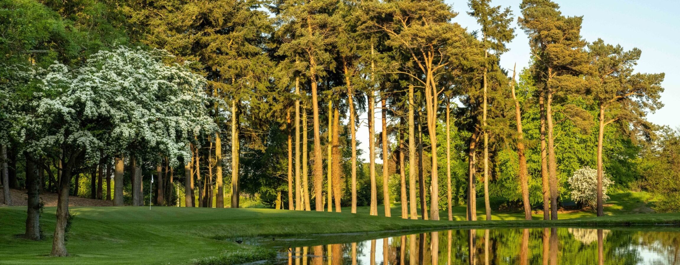 Sustainability Druids Glen