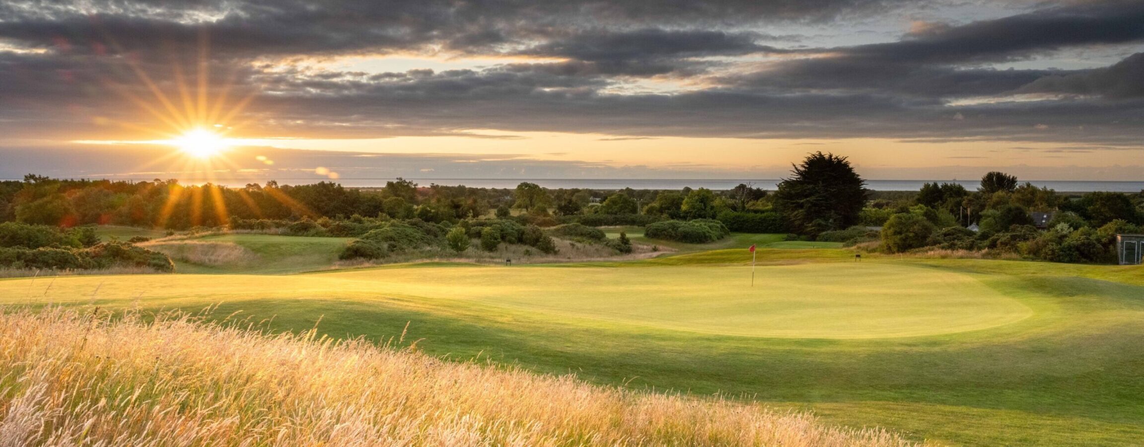 Sustainability Druids Heath