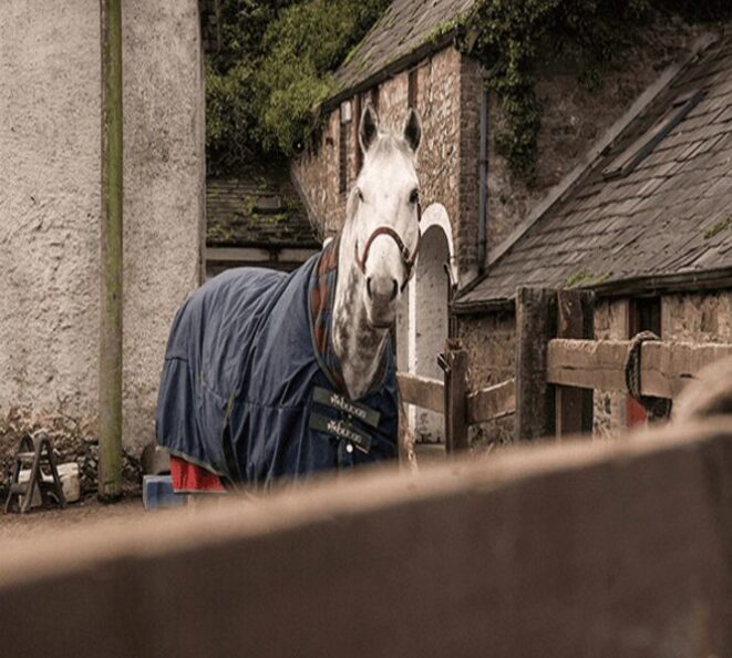 Brennanstown Riding School
