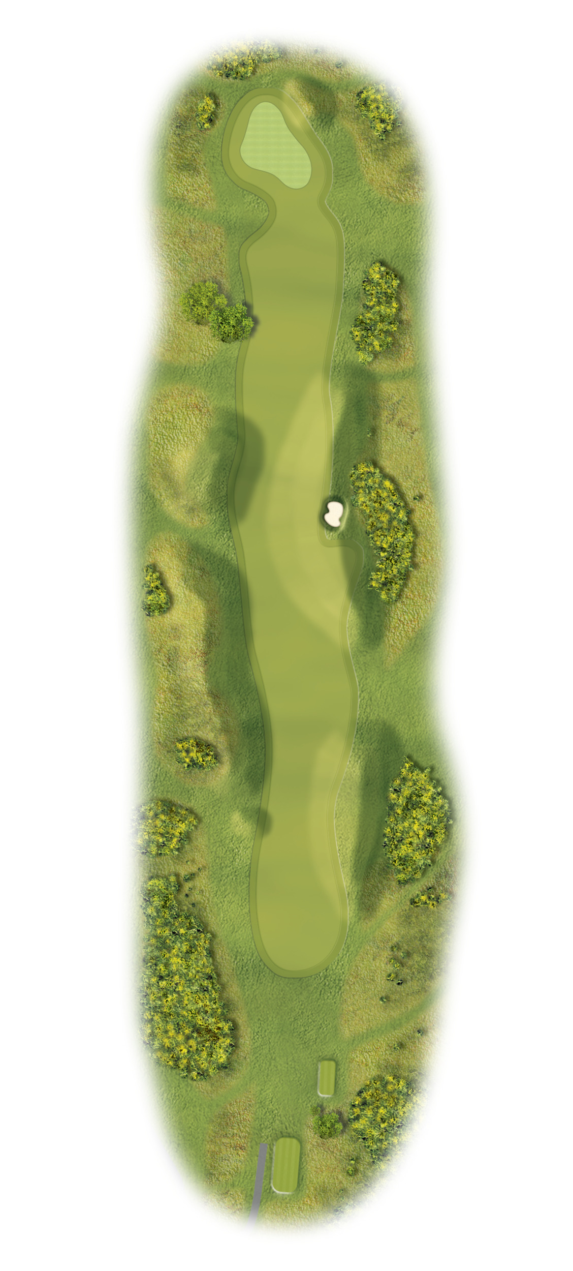 druids heath hole 10