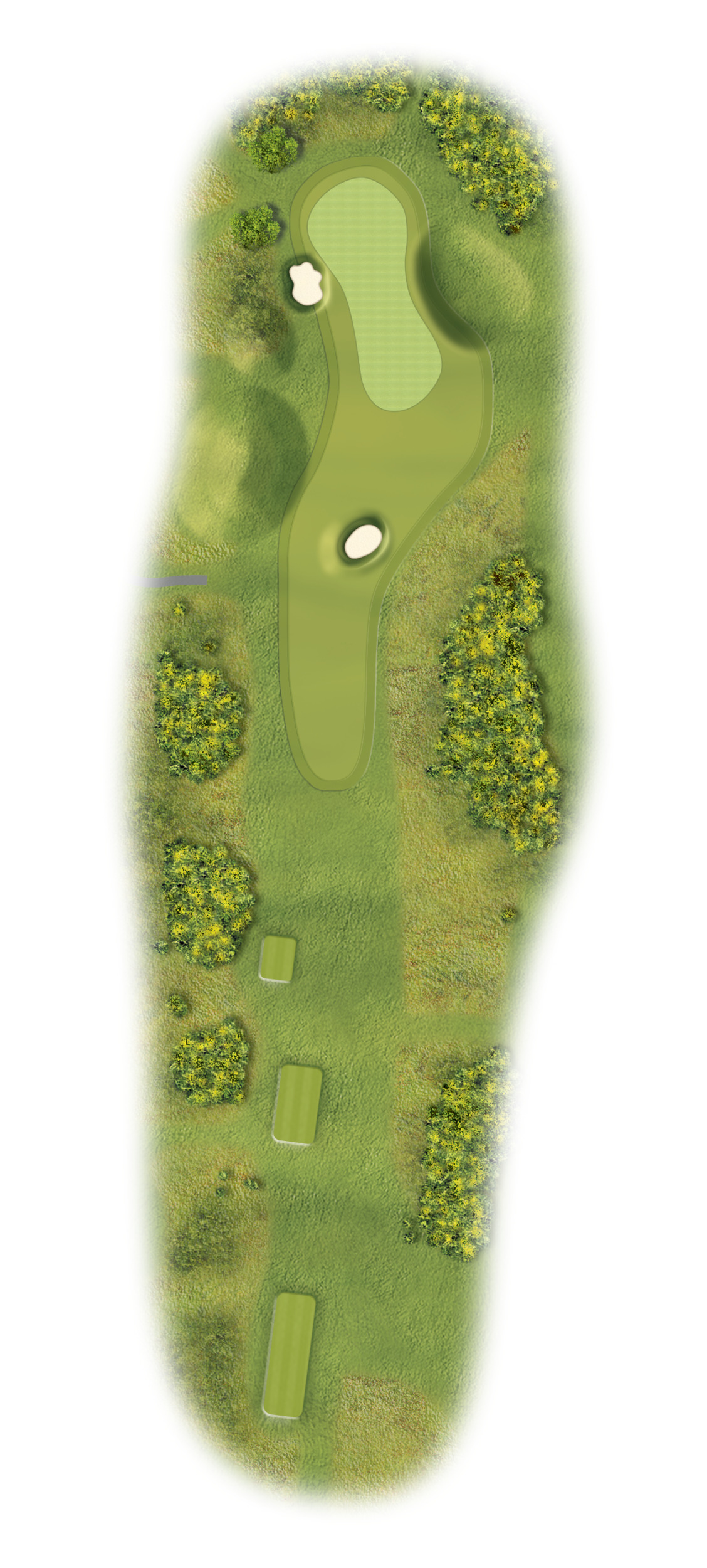 druids heath hole 11