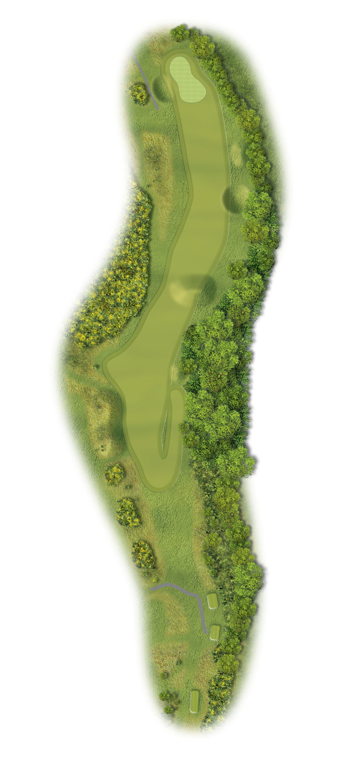 druids heath hole 12