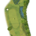 druids heath hole 13