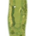 druids heath hole 8