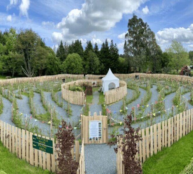 Greenan Maze