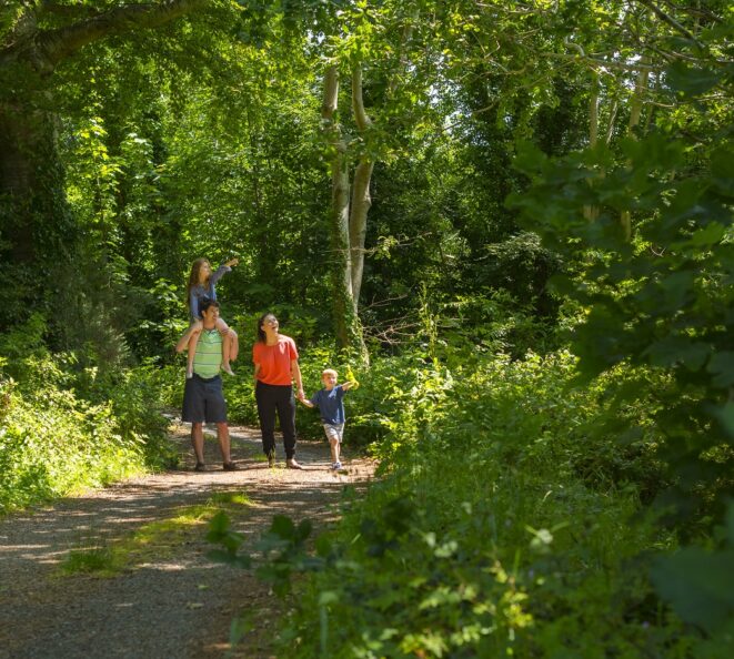 Walking Trail