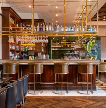 Bar Main FL No Barman 400px 1 1 - Druids Glen