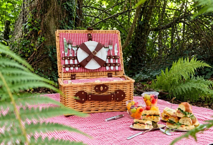 Woodland Picnic Escape