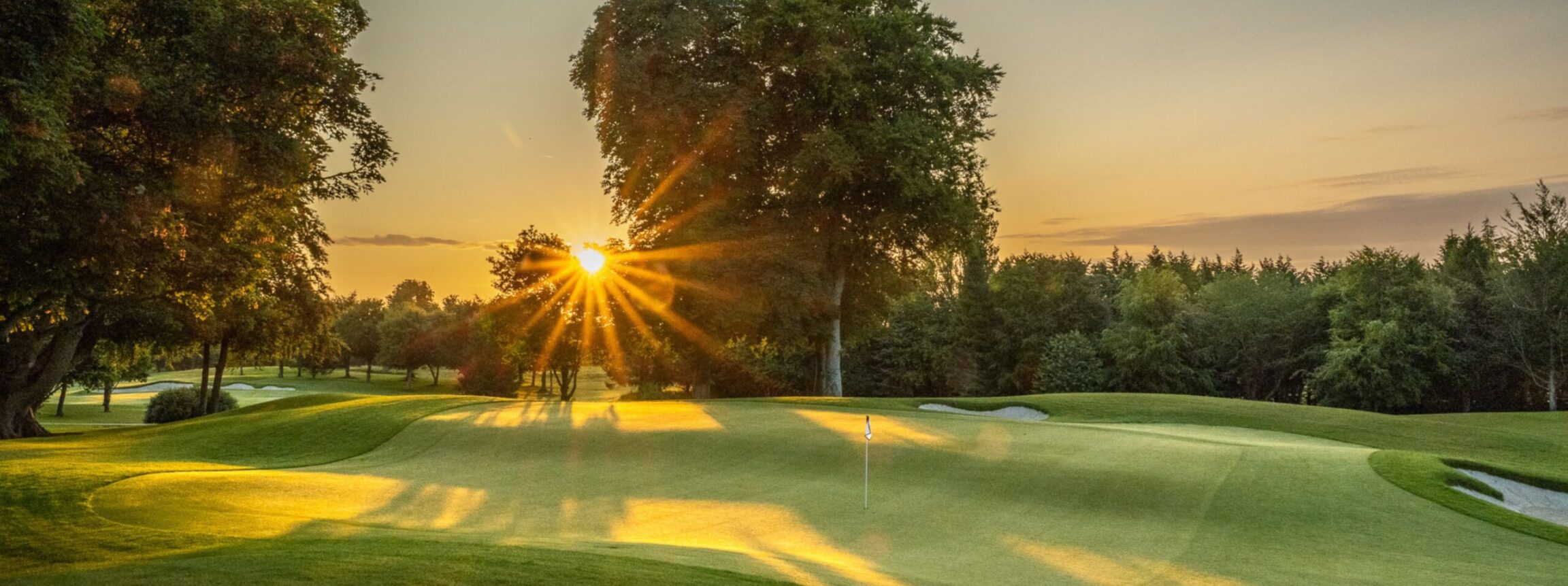 Book a Tee Time