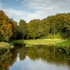 Druids Glen in autumn - Druids Glen