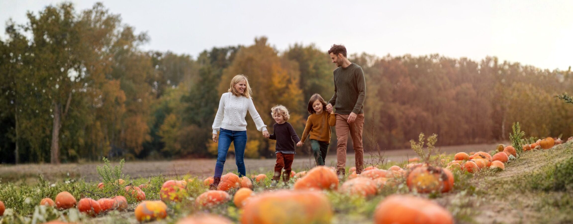 Family Midterm Stays 1 - Druids Glen